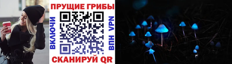 Галлюциногенные грибы ЛСД  цены   Бобров 